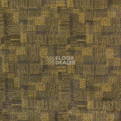 Ковролин Big Carus Golden Gate gg 003 27507 фото 1 | FLOORDEALER
